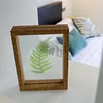 Apartman Doel