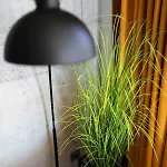 Apartman Doel *
